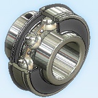 ER Style Bearings 