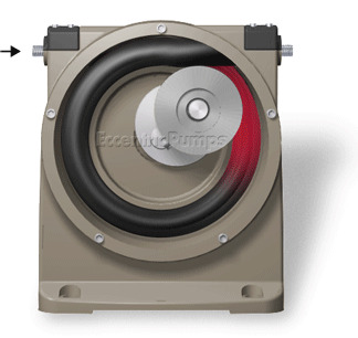 Peristaltic Pump Bearings