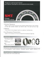 SMT Titanium Ball Bearings